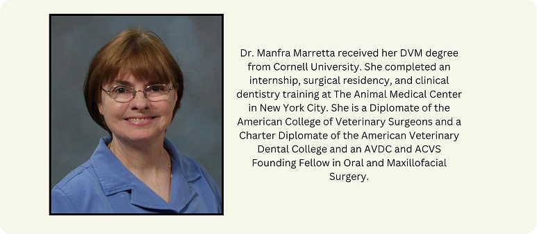 Pawsitive Dentistry Webinar: Staying Alive-Dog Teeth Saving Strategies